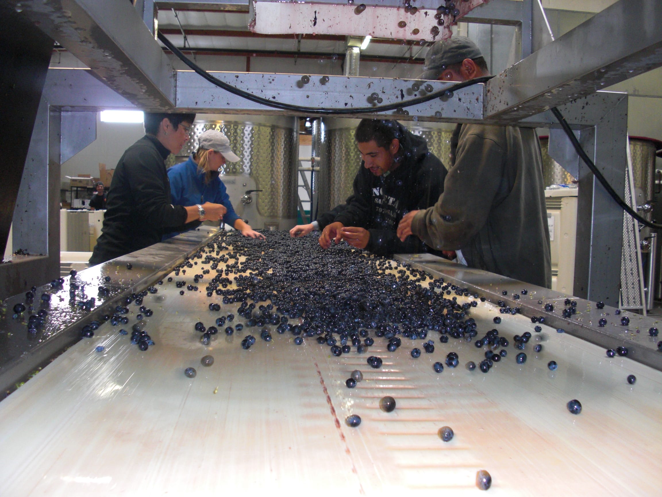 sorting table view