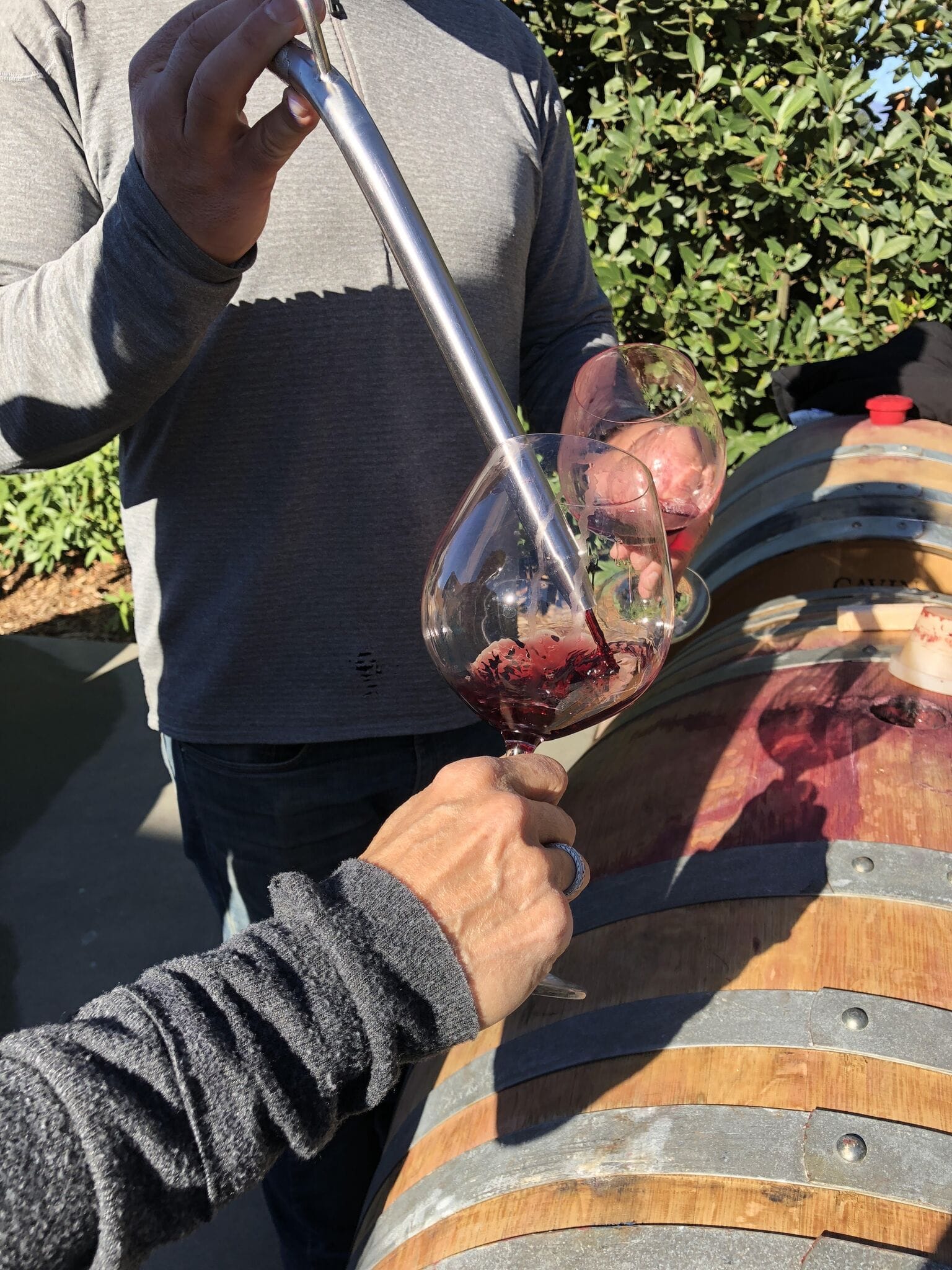 tasting near barrels